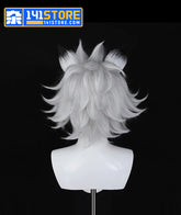 Von Lycaon Cosplay Wig
